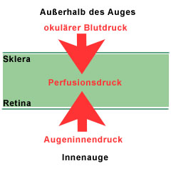 Perfusionsdruck